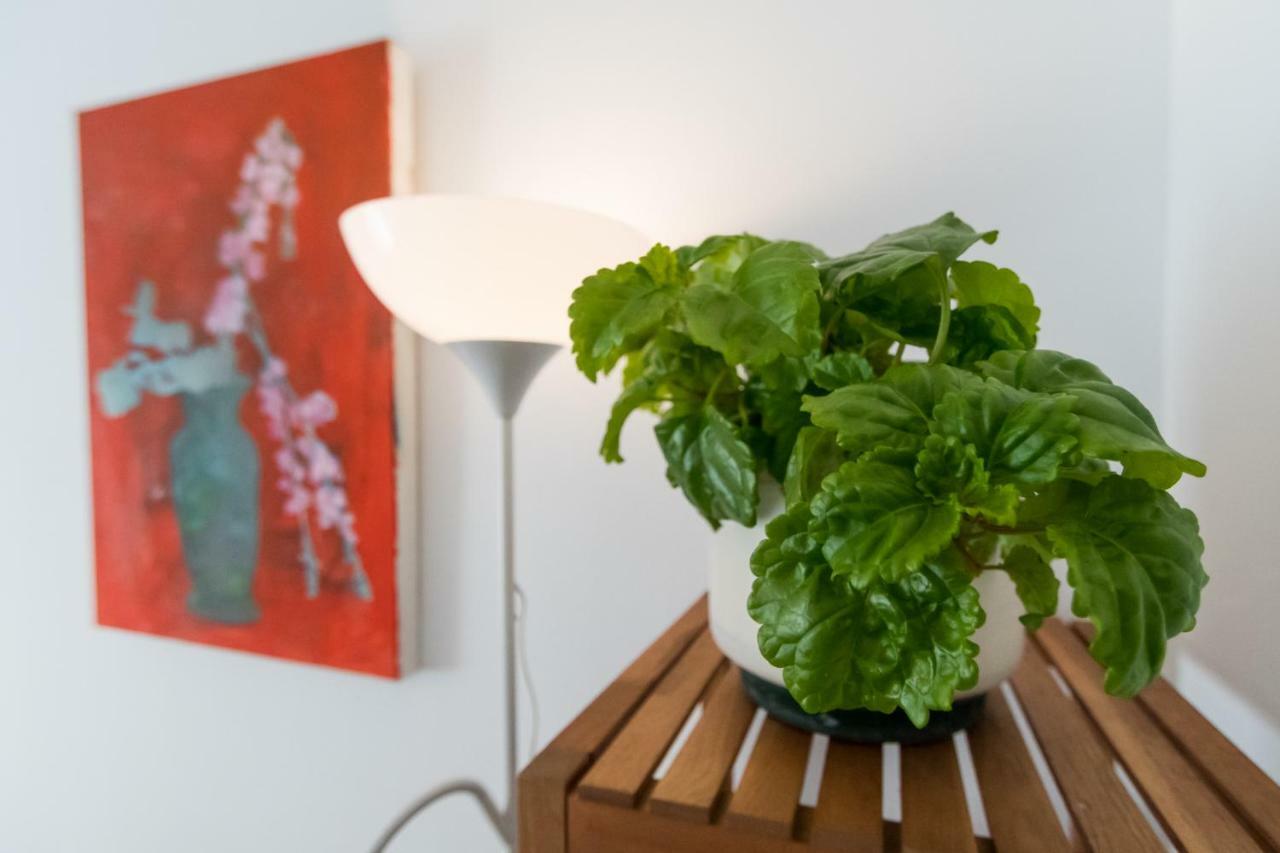 Apartamento La Galeria De San Antonio Cadiz Ngoại thất bức ảnh
